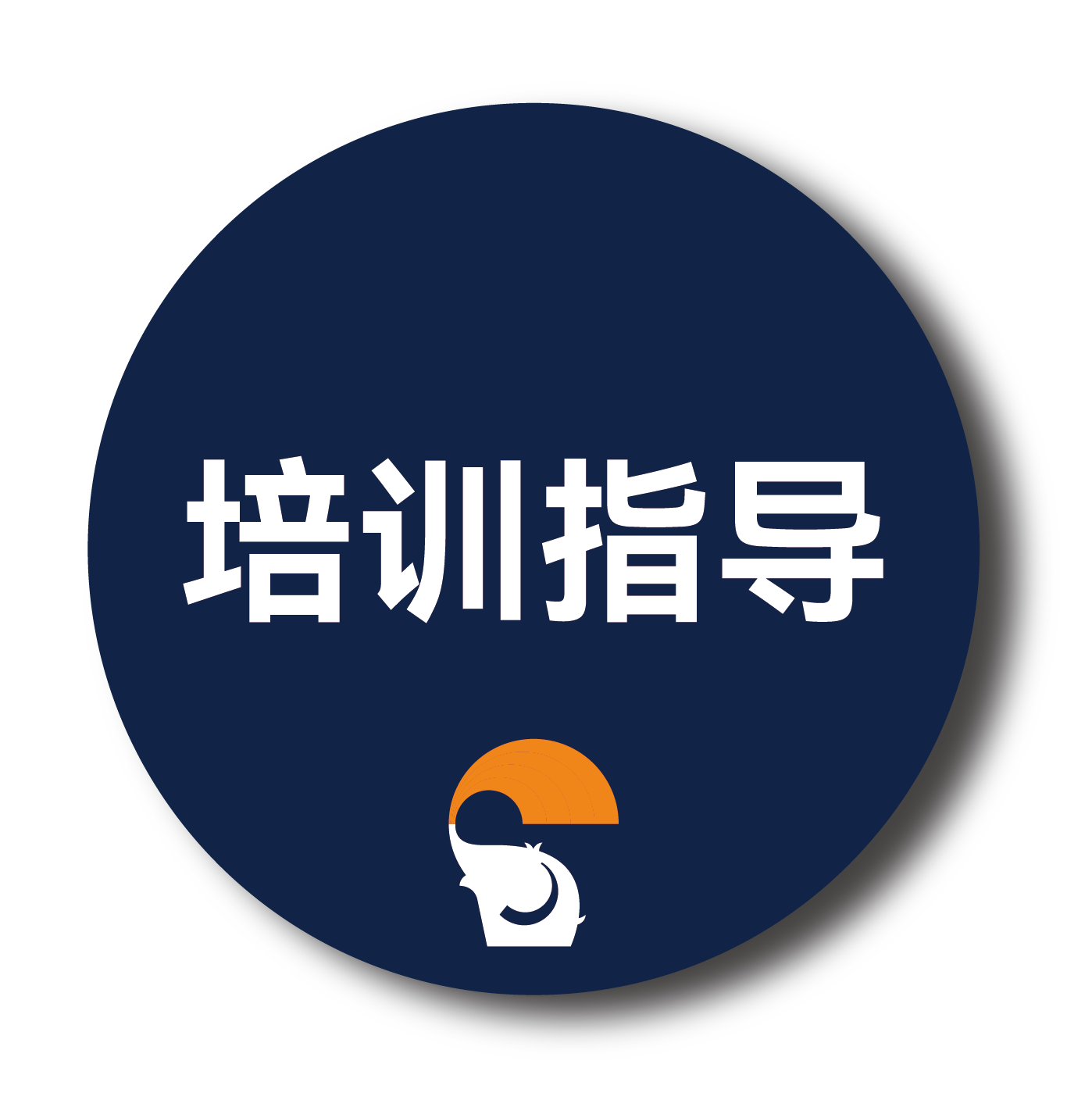 培训指导 培训指导
